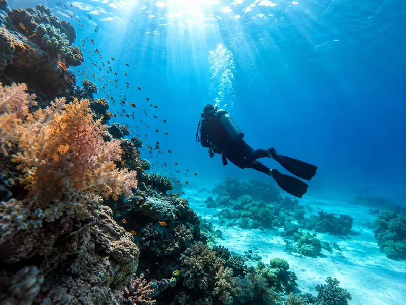Reef Scuba Diving Day from 1770